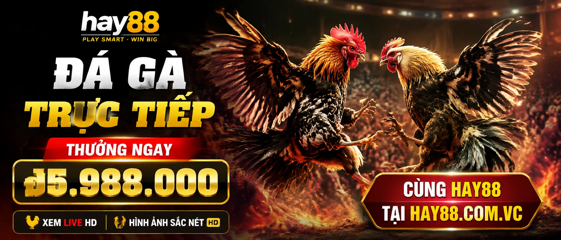 Đá Gà live tại hay88.com.vc