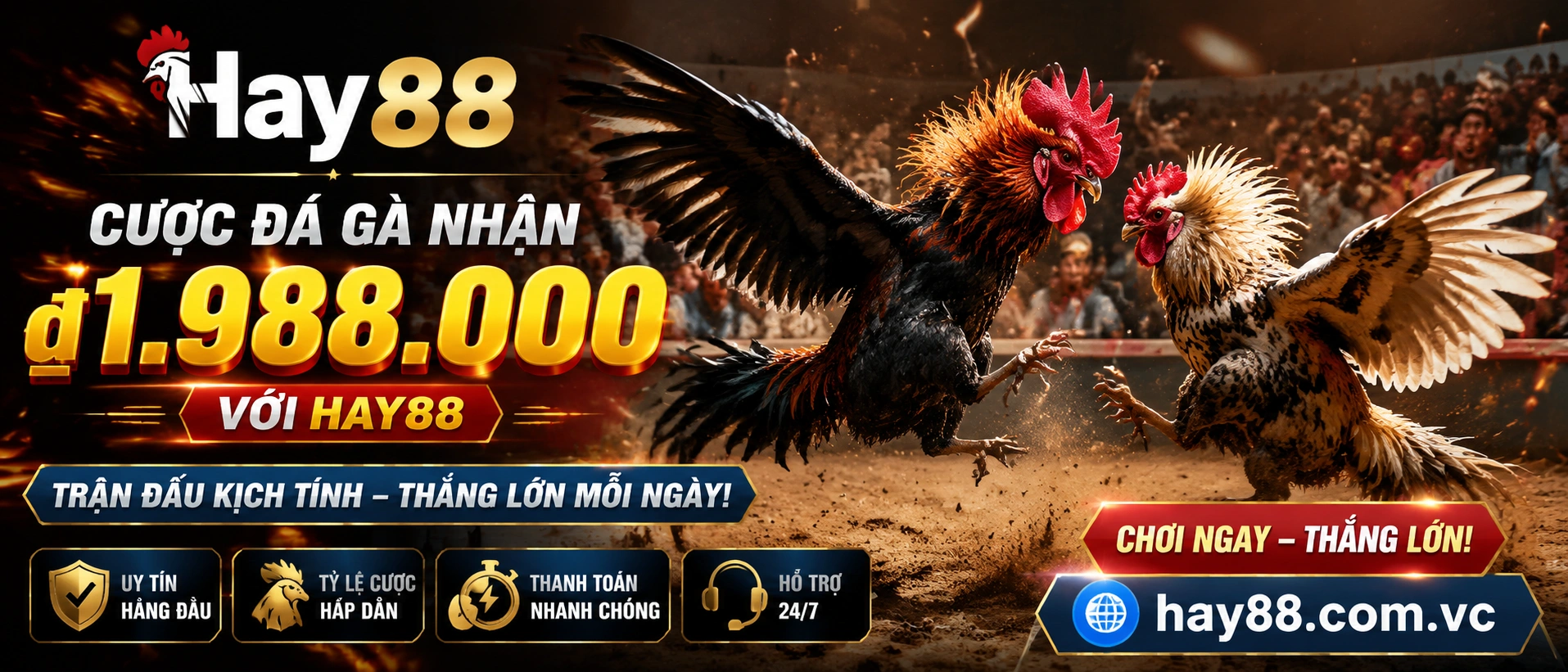 Phòng Đá và luồng live