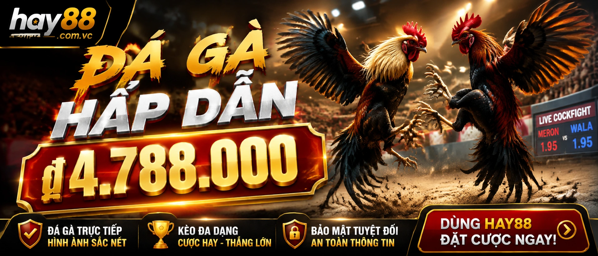Đá Gà Thomo